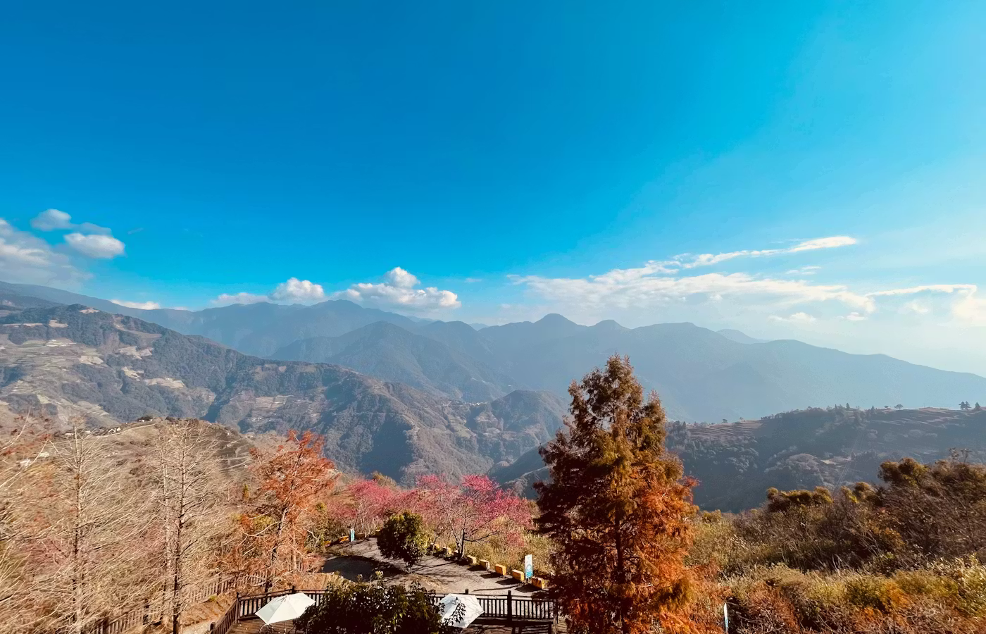 日月潭合歡山清境行程